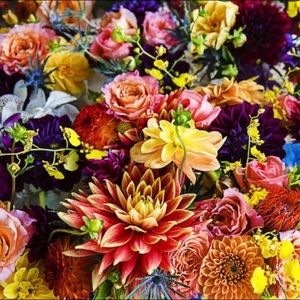 Meet your Posher, Shiloh